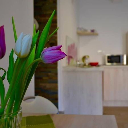 Zsizelle Rezidence Apartment Brasov Ngoại thất bức ảnh