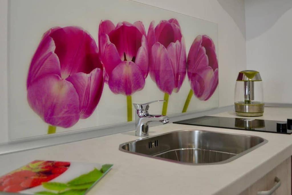 Zsizelle Rezidence Apartment Brasov Ngoại thất bức ảnh
