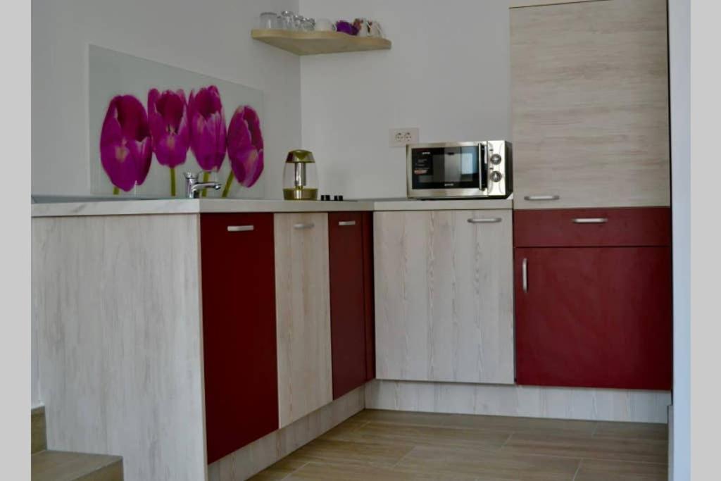 Zsizelle Rezidence Apartment Brasov Ngoại thất bức ảnh