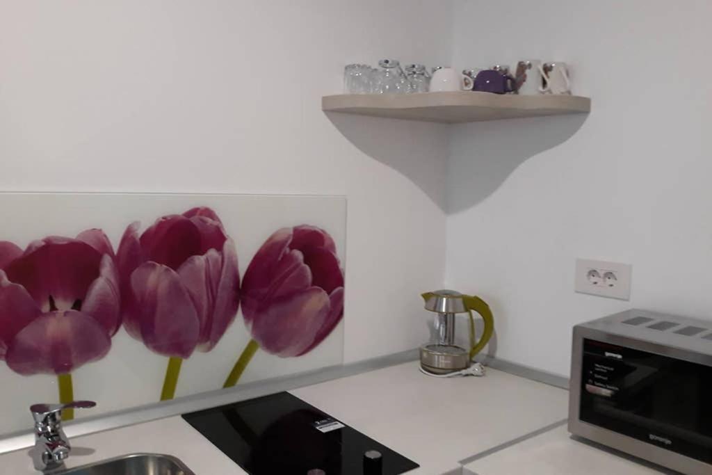 Zsizelle Rezidence Apartment Brasov Ngoại thất bức ảnh